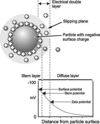 Fig. 1