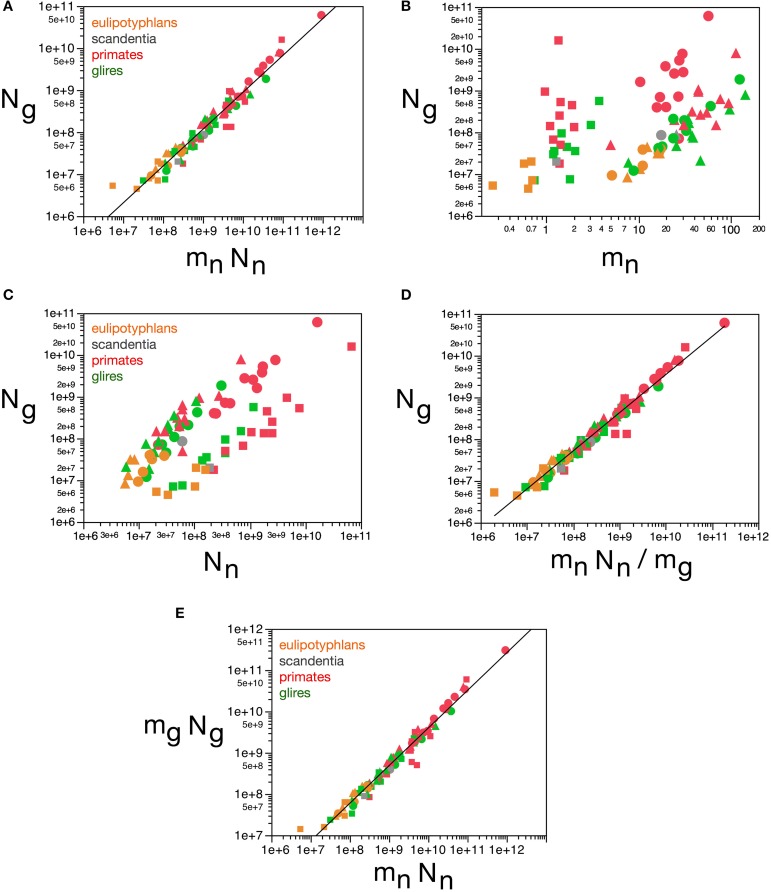 Figure 12