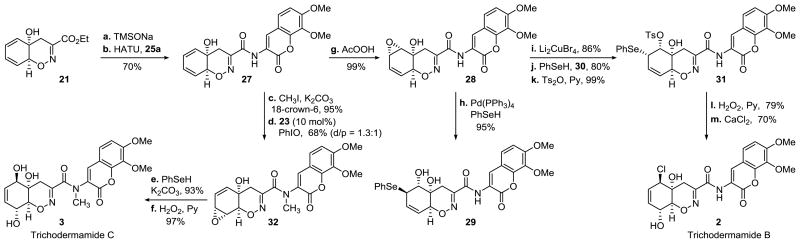 Scheme 3