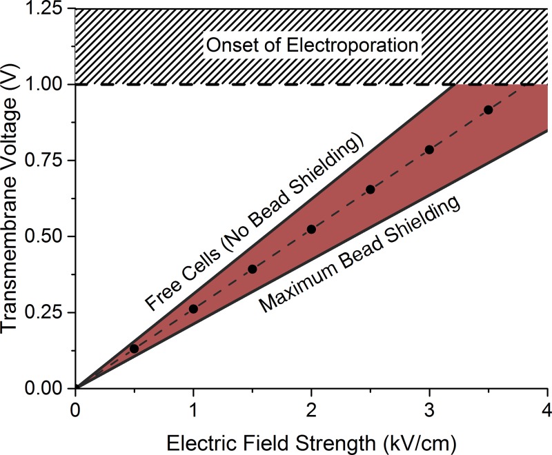 FIG. 10.