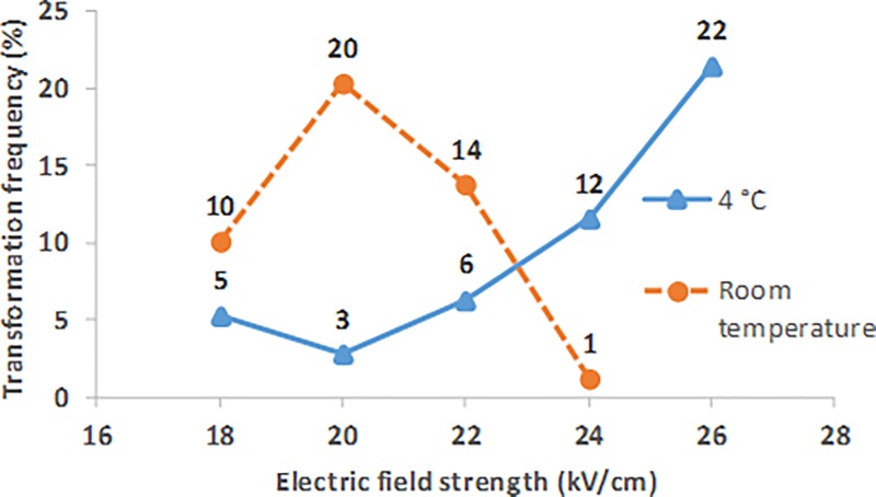 FIG. 11.