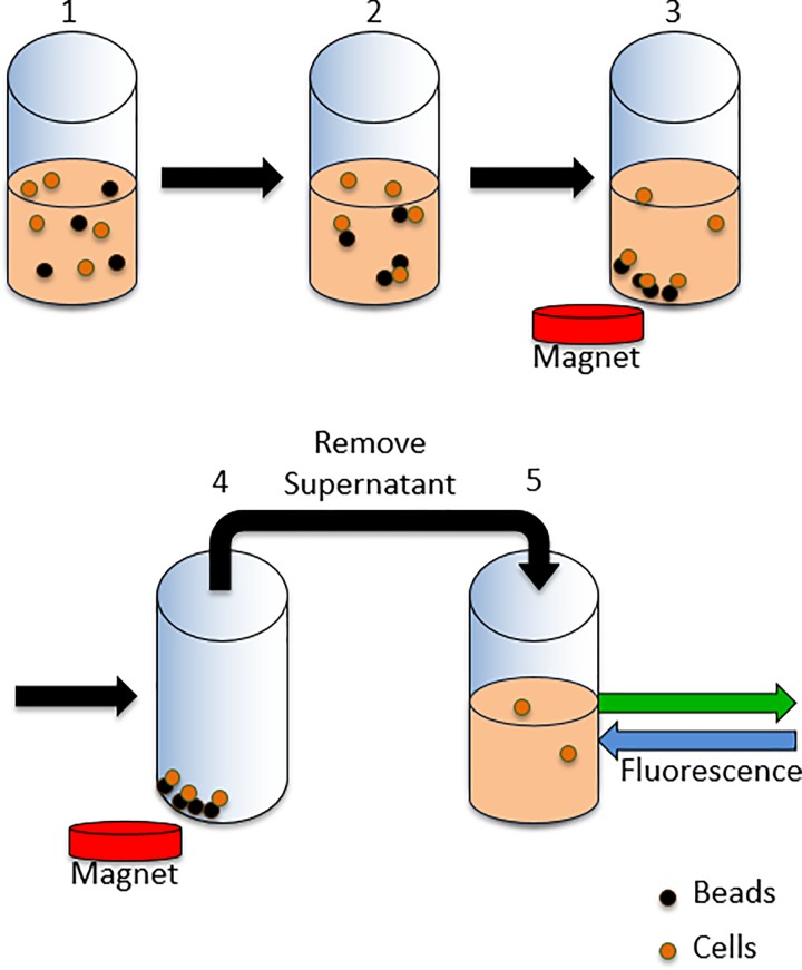 FIG. 1.