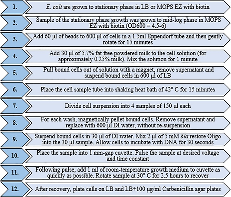 FIG. 4.