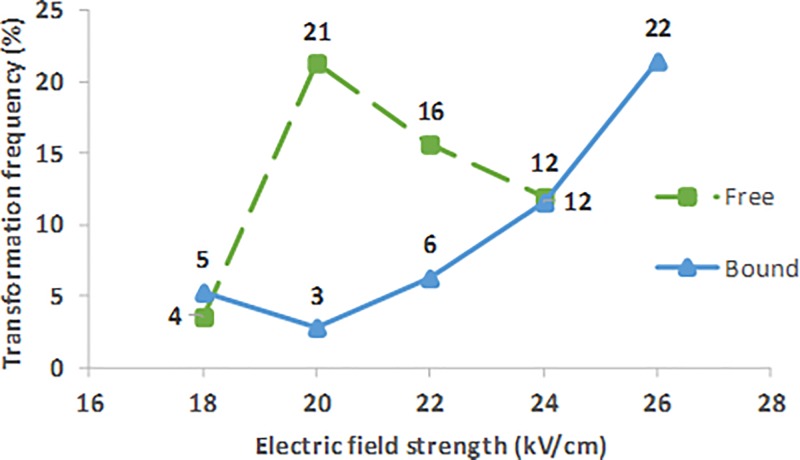 FIG. 8.