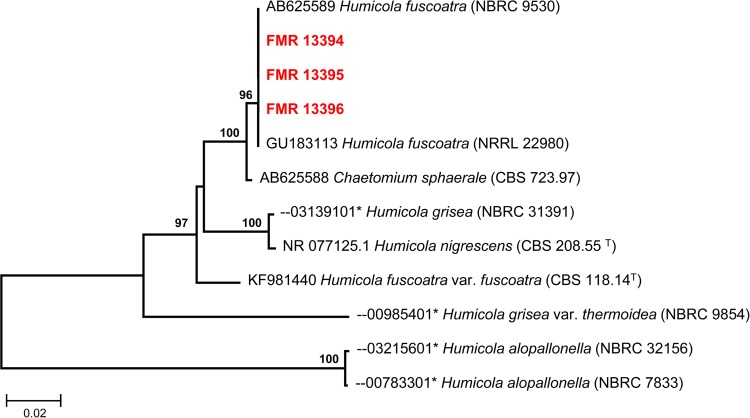 FIG 3