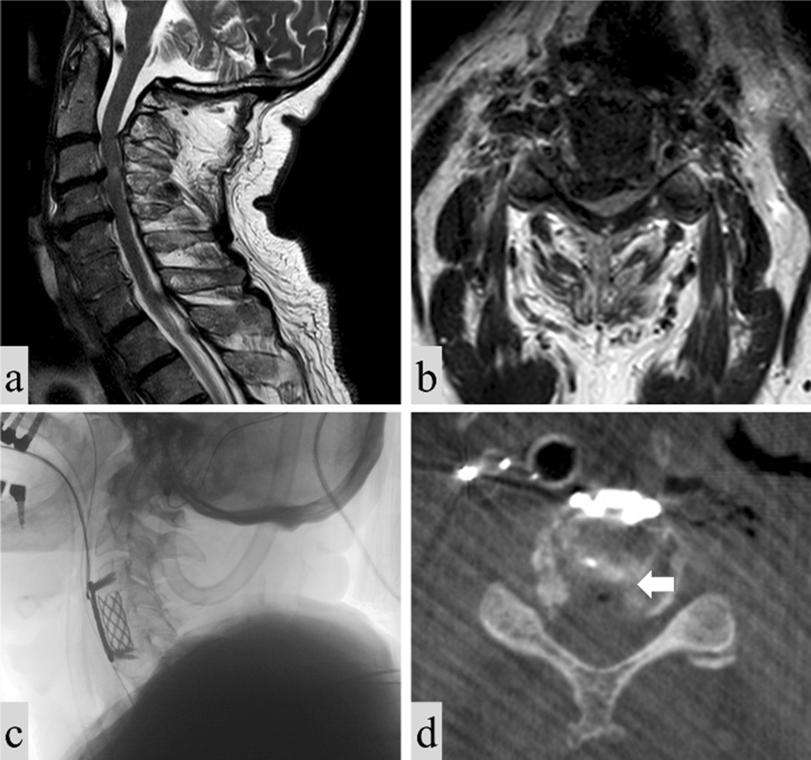 Fig. 5