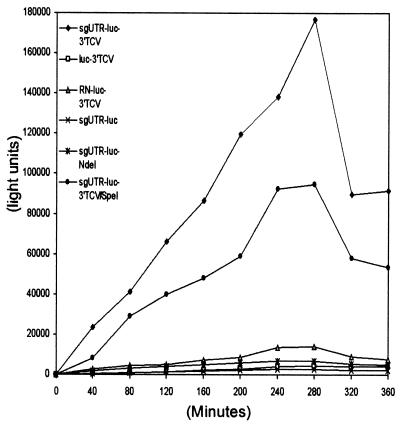 FIG. 7