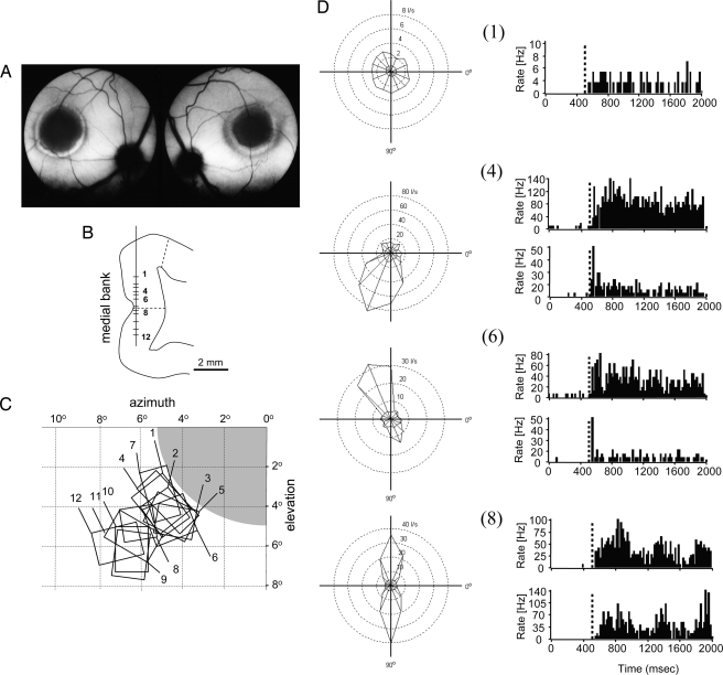 Fig. 1.