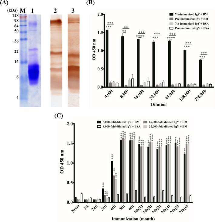 FIG 1