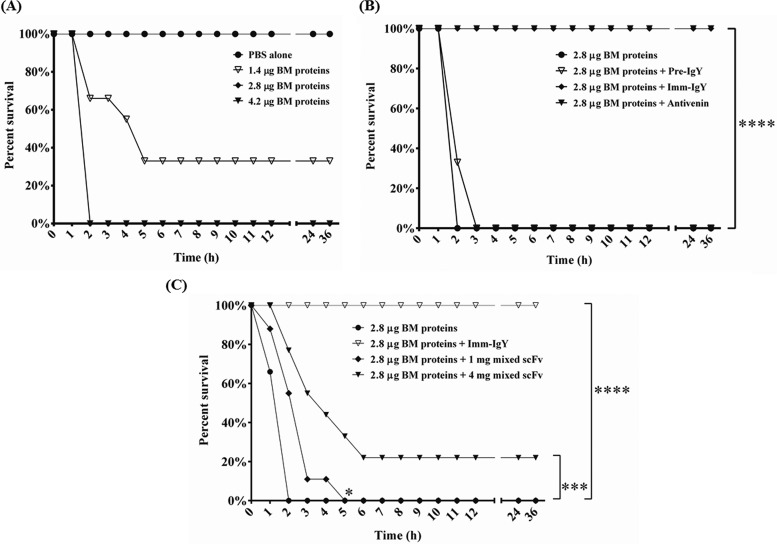 FIG 6