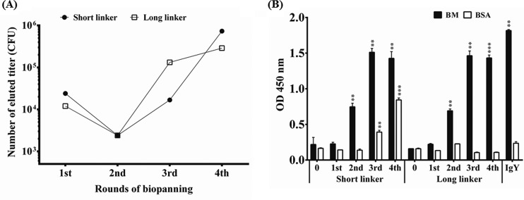 FIG 2