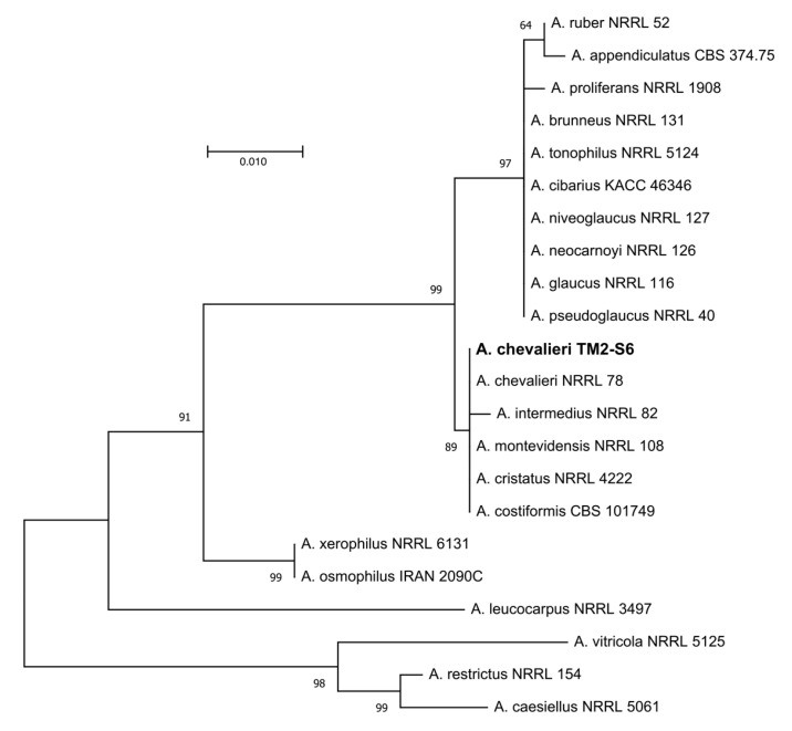 Figure 2