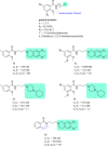 Figure 28