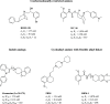 Figure 17