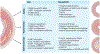 Fig. 2 |
