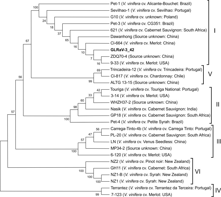 Fig 6