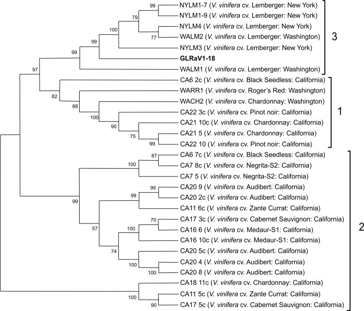 Fig 3