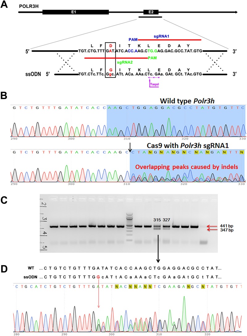 Figure 4.