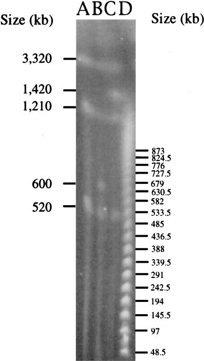 FIG. 4