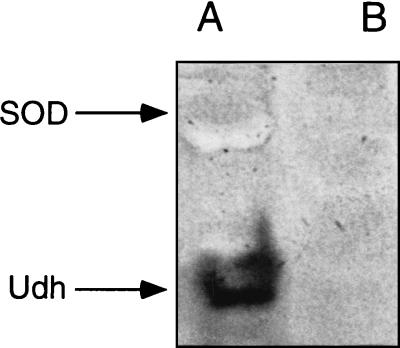 FIG. 5