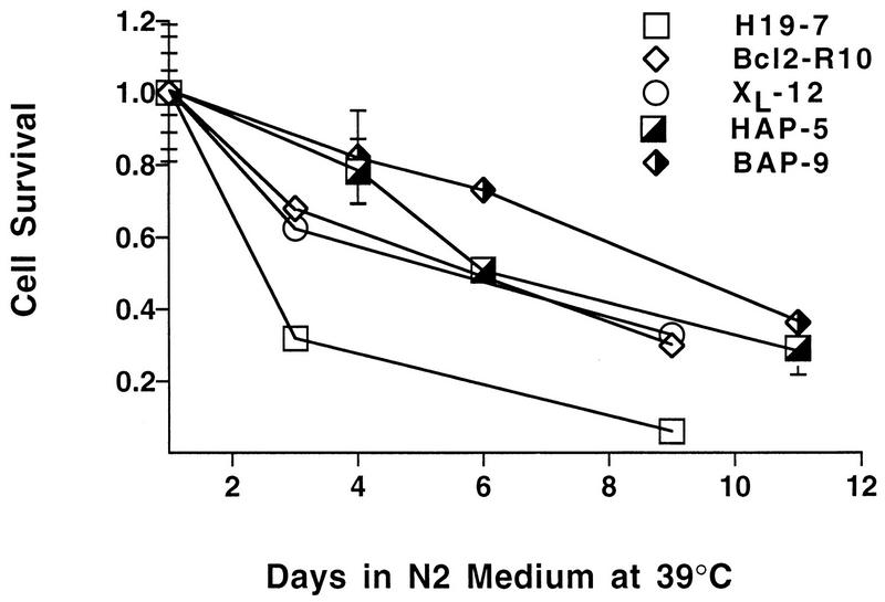 FIG. 5