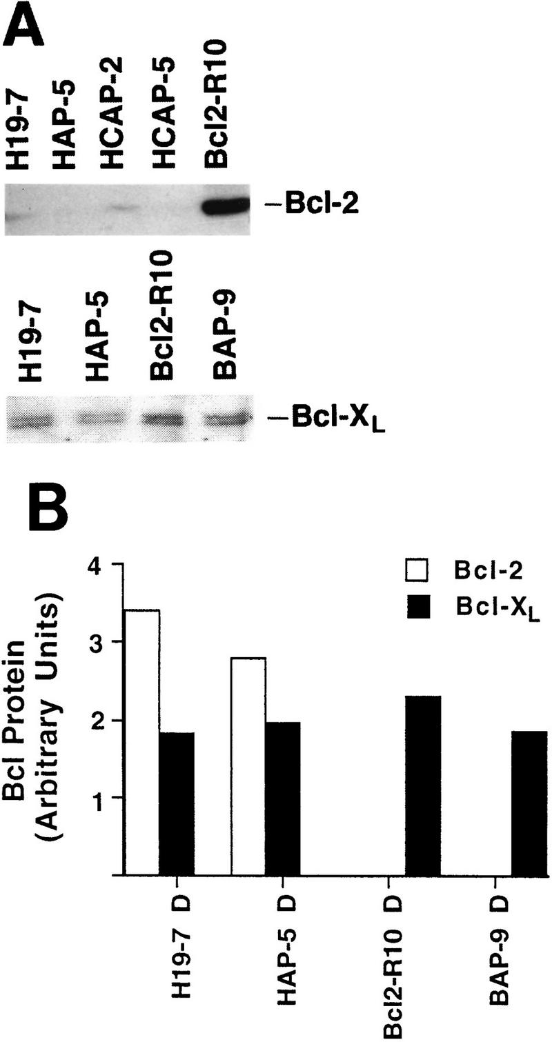 FIG. 7