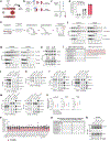 Extended Data Figure 1: