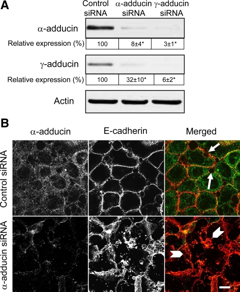 Figure 10.