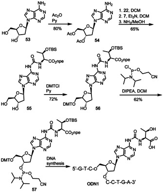 Scheme 3