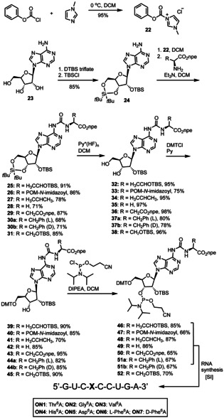 Scheme 2