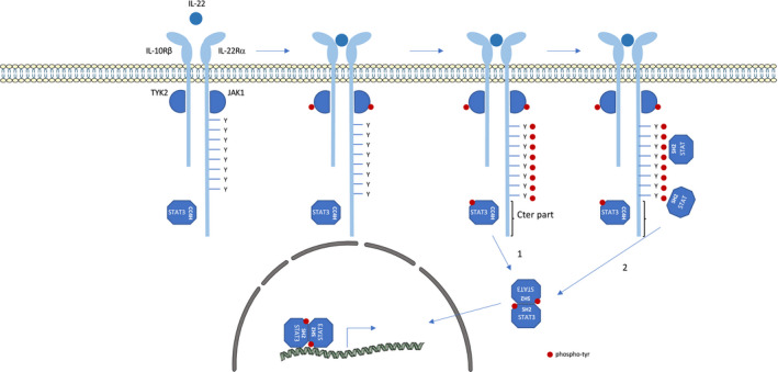 FIGURE 3