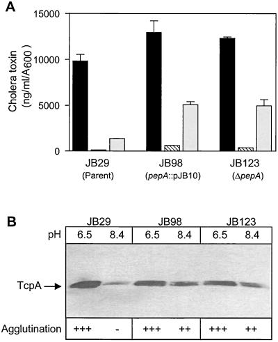 FIG. 5