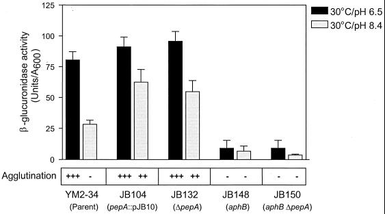 FIG. 7