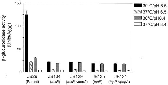 FIG. 6