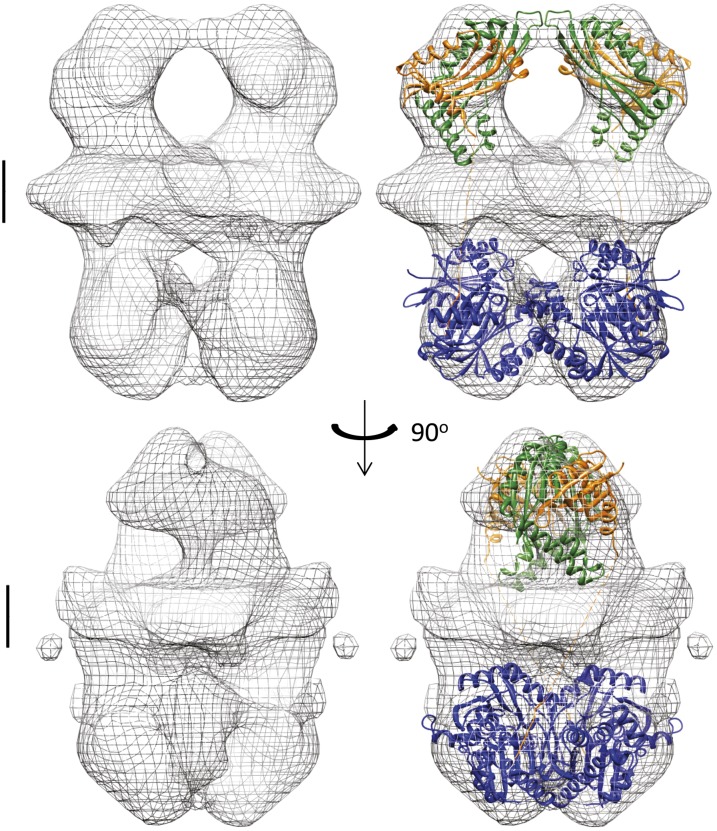 Fig. 5.