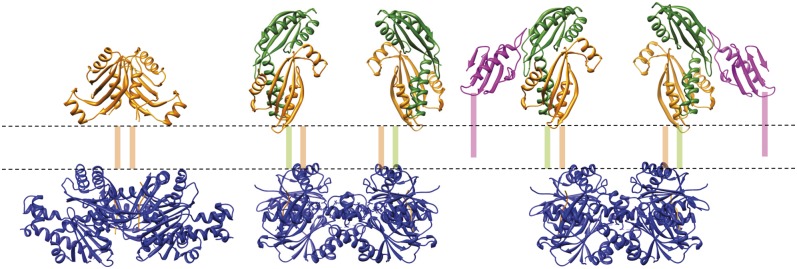 Fig. 7.