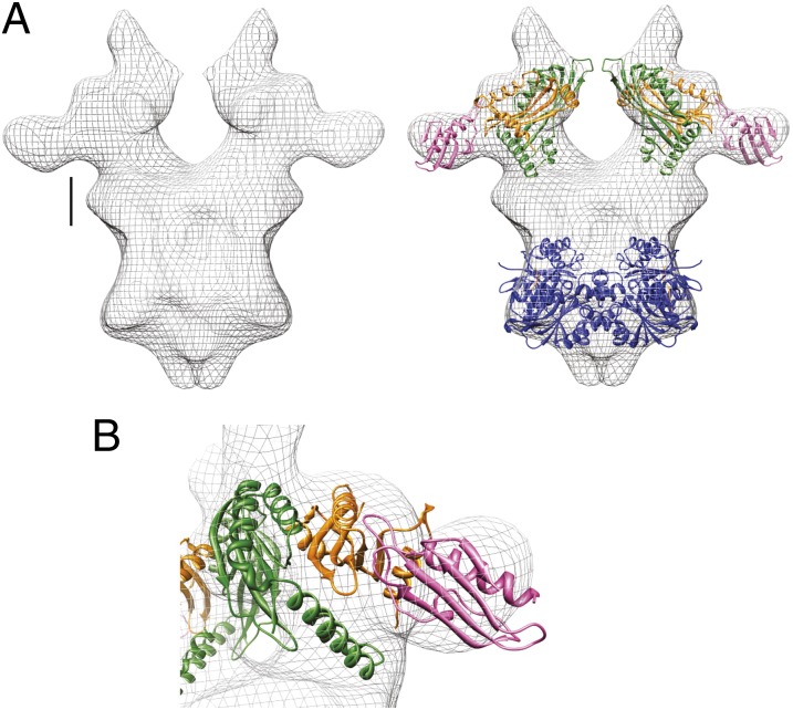 Fig. 6.