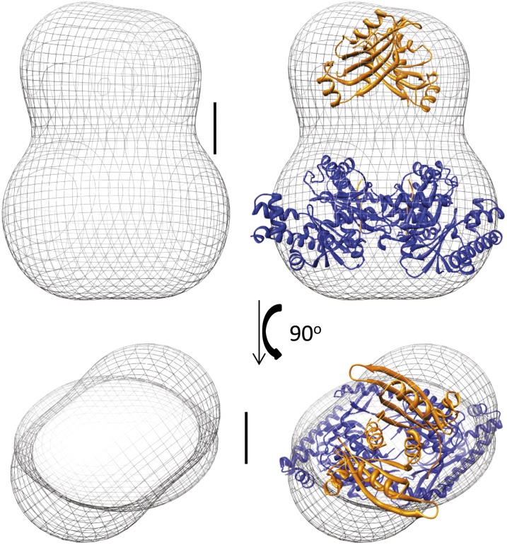 Fig. 4.