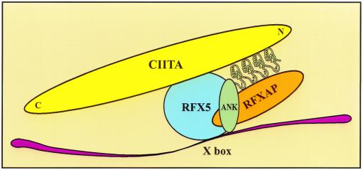 FIG. 9