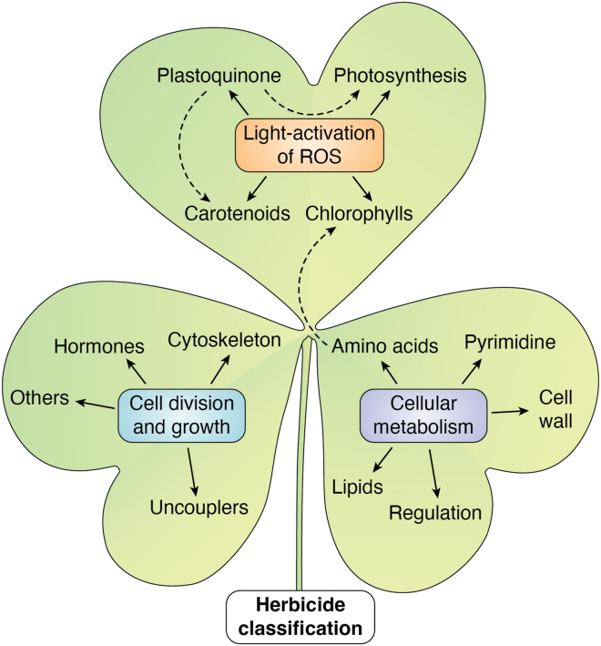 Figure 2