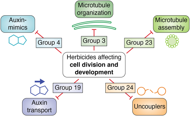 Figure 6