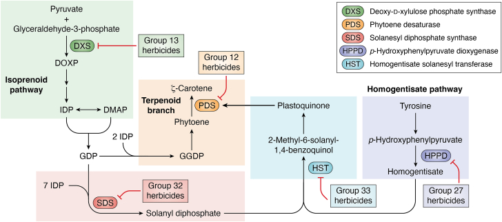 Figure 4