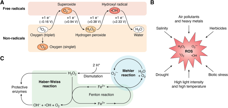 Figure 1