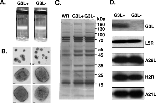 FIG. 7.