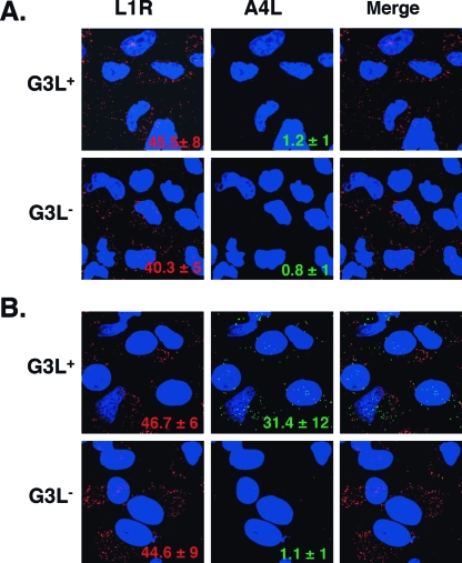 FIG. 8.