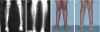 Fig. 5