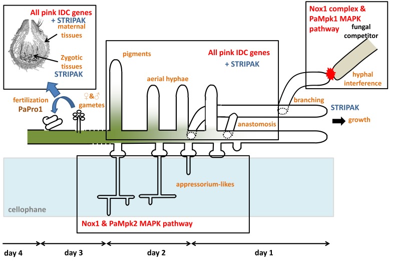 Figure 12