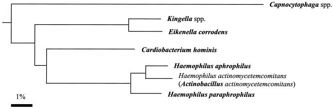 FIG. 7