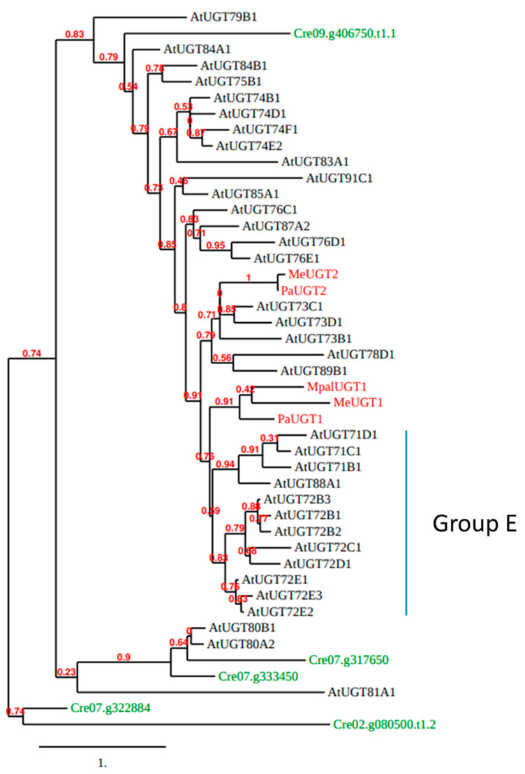 Figure 4