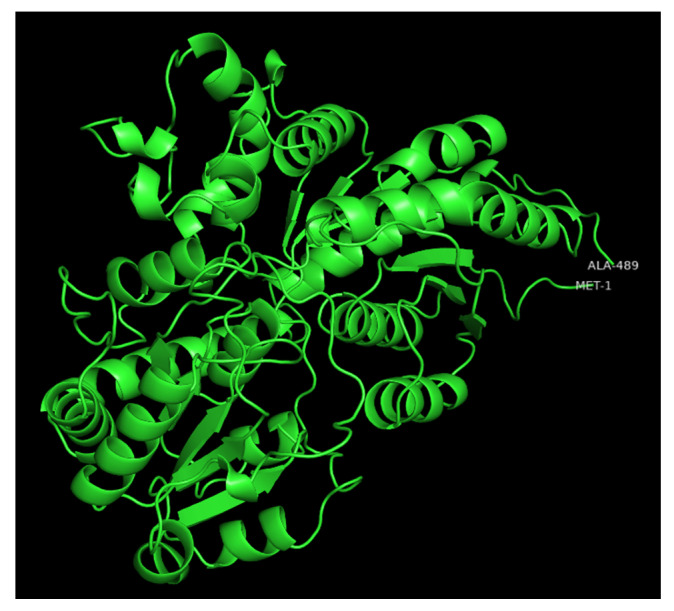 Figure 2